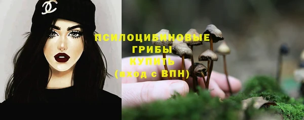 мдма Богородск