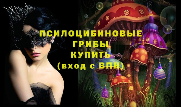 кокаин премиум Богородицк
