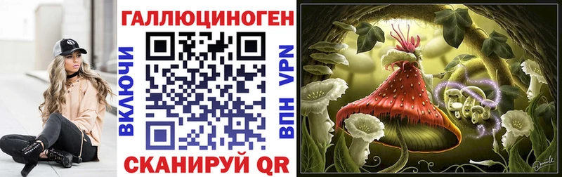 Галлюциногенные грибы GOLDEN TEACHER  закладки  Высоцк 